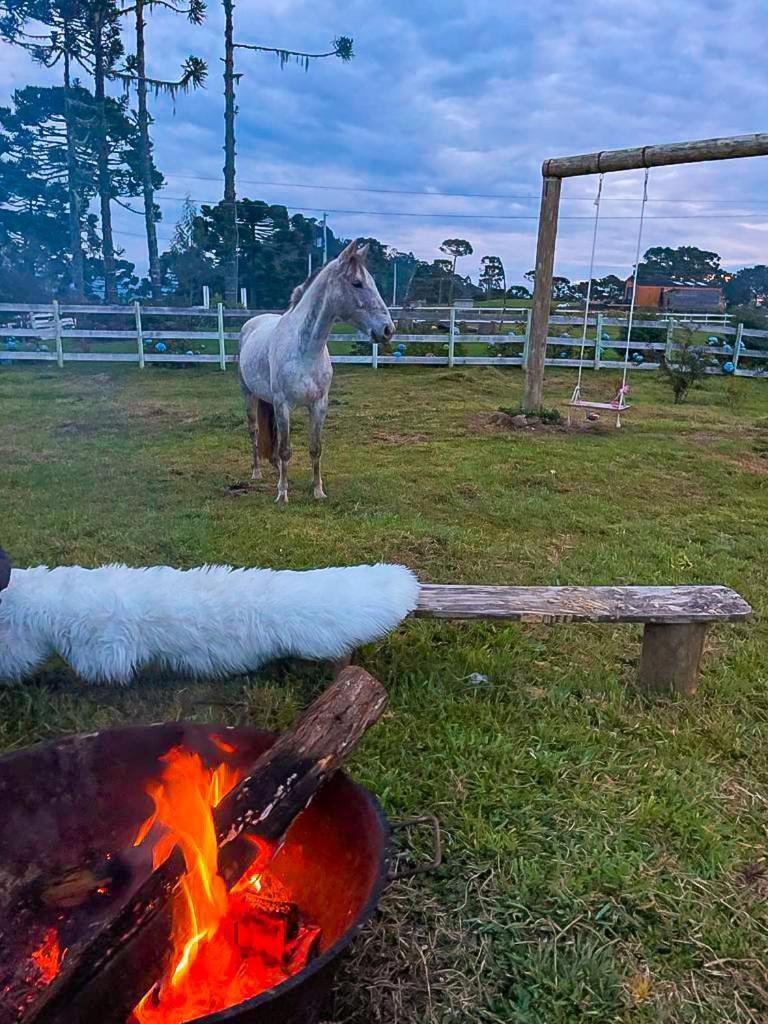 Platto Da Neve:Jacuzzi E Lareira Em Urubici Rg2775别墅 外观 照片